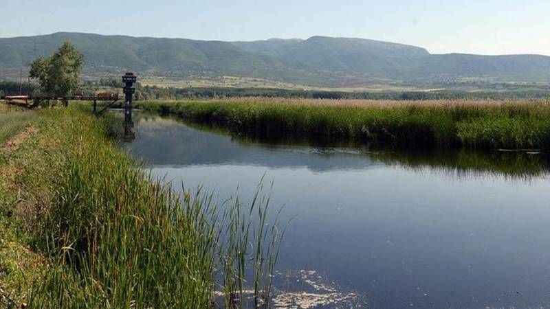 Burası Afrika değil: Tokat! Kaz Gölü doğasıyla nefes kesiyor…